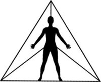 Centre Evolution